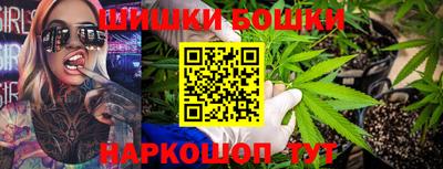 шишки Дубна