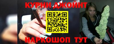 шишки Дубна