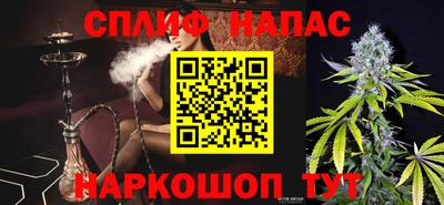 шишки Дубна
