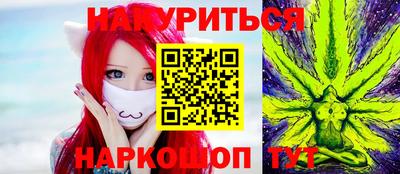 шишки Дубна
