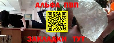 шишки Дубна