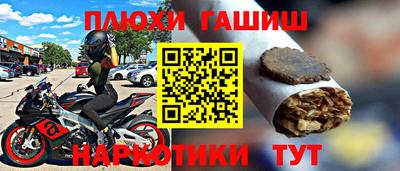 шишки Дубна