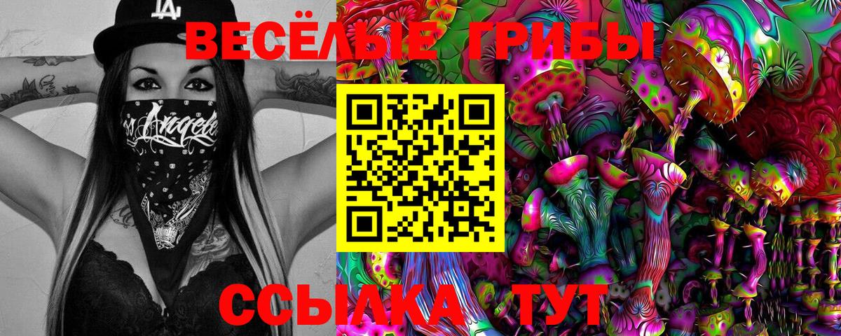 Магадан  Галлюциногенные грибы ЛСД  Псилоцибиновые грибы Magic Shrooms  Вход с VPN 