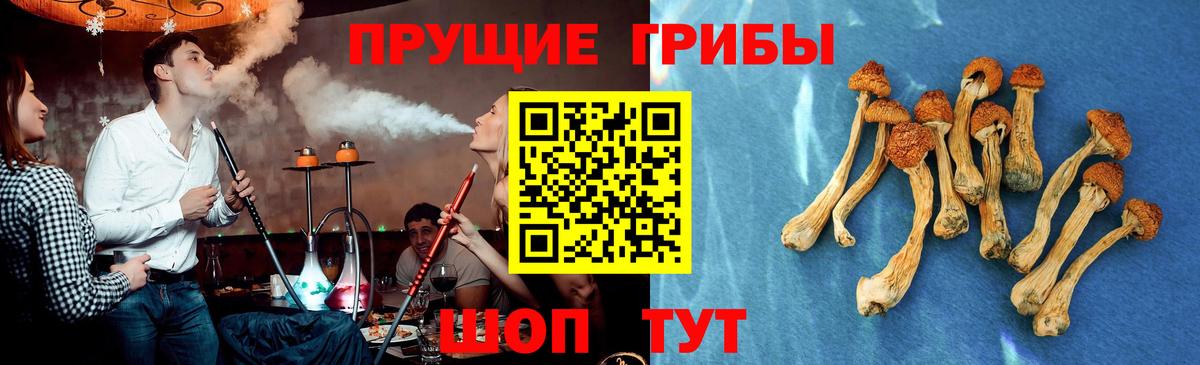 Псилоцибиновые грибы ЛСД Магадан